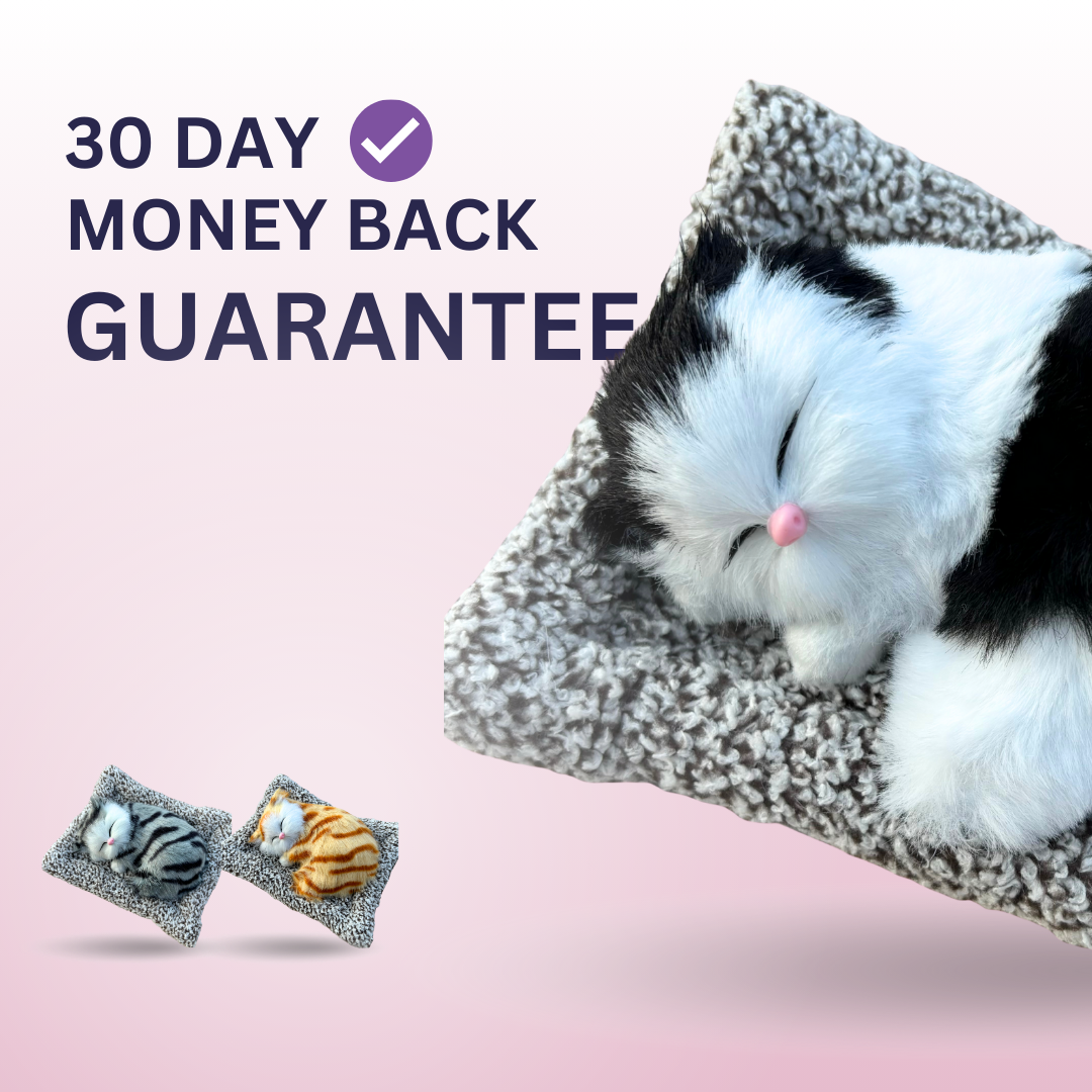 Tamoora™ Cutiee Cat Plush