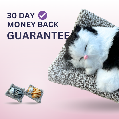 Tamoora™ Cutiee Cat Plush